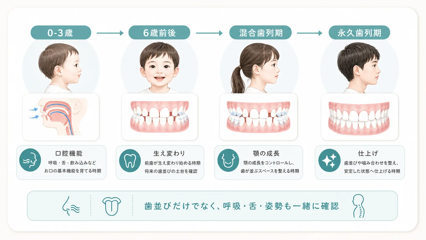 小児矯正のベストタイミング